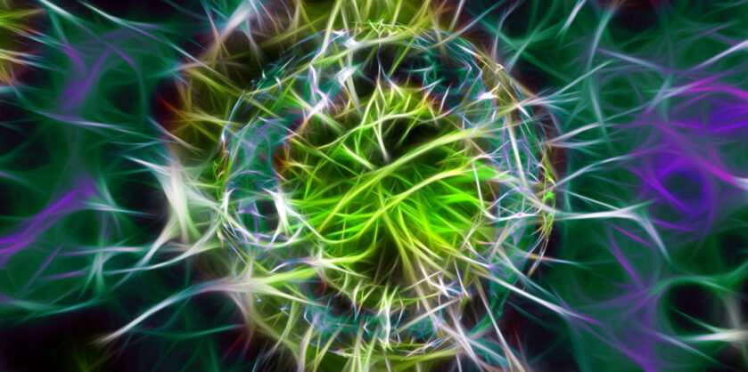 “Microbiología y Parasitología: Investigación y Desarrollo” ABG IP Master
