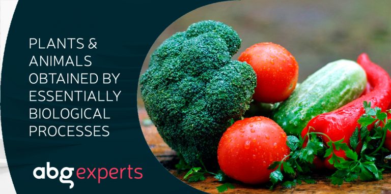 Read more about the article The Enlarged Board of Appeal of the EPO has decided that products obtained exclusively by an essentially biological process are not patentable