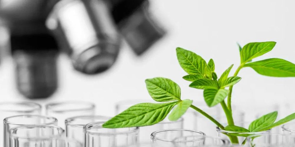 biotechnology-abgip